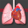 STS Cardiothoracic Surgery