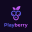 Playberry 1.3.6