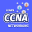 Learn Networking Offline CCNA