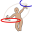 Hoopdance Designer 1.2.10