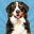 Dog Simulator-Pet Animal Life