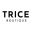 Trice Boutique 2.8