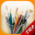 MyBrushes Pro: Paint and Draw 6.3.1