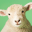 Sheep Sounds