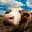 Farm Animal Sounds & Noises