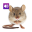 Mouse and Rat: Sound,Ringtones 3.0