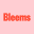 Bleems - Flowers & Gifts