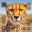 Wild Cheetah Simulator 3D 1.15