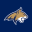 Montana State Bobcats