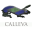 Calleva 1.1