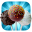 Cake Games: Cake Pop It Baking 6.1