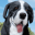 Dog Simulator : Puppy Pet Farm