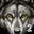 Ultimate Wolf Simulator 2 3.0