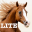 Horse Jigsaw Puzzle Games 1.3.0