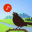 Chirp! Bird Songs & Calls USA 3.2.2