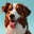 Doggo Booth - AI Dog Avatars 2.13