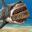 Shark Land: Survival Simulator