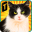 Street Cat Sim 2016 1.0