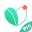 Peppermint Pro: Match & Chat 2.25.2