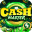 Cash Master - Carnival Prizes 1.5