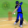 Smashing Cricket: cricket game