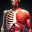 Human Body Atlas: 3D Medical