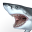 Talking Great White : My Pet Shark 3.0.2