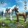 Wild Horse Life Simulator 1.4