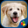 Dog Puzzles - Jigsaw Puzzle Game for Kids with Real Pictures of Cute Puppies and Dogs