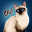 Siamese Cats Emoji Sticker 1.2