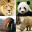 Animals Quiz - Mammals in Zoo 2.3.0