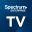 Spectrum Enterprise TV