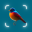 Bird Identifier, Bird Id 70.0.0