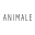 Animale - Moda Feminina