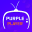 Purple Easy - IPTV Player 4.1.0