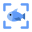 Fish Identifier by Picture 1.1