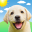 Weather Puppy Forecast + Radar