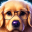 AI Avatar for Dogs - Floof AI 1.0.4