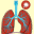 Learn Medical Terminology 1.5