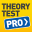 Theory Test Pro