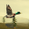 Wild Duck Hunter 1.5