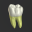 3D Tooth Anatomy 1.03