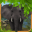 Wild Elephant Simulator 3D