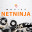 Netninja movie downloader