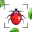 Bug Identifier Bug Finder 16.0