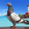 Pigeon Bird Flight Simulator 2.0