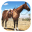 Horse Simulator 3D Game 2017 1.0