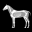 3D Horse Anatomy Software