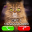 Fake Video Call Cat 1.5