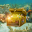 Underwater Treasure Escape